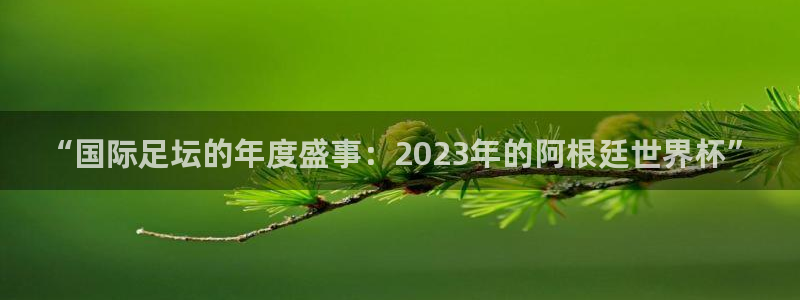 世界杯欧洲区世预赛赛程:“国际足坛的年度盛事:2023年的阿根廷世界杯”