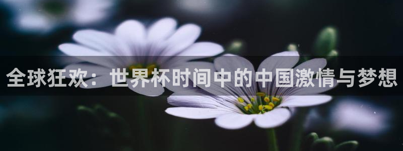 世界杯欧洲区预选赛:全球狂欢:世界杯时间中的中国激情与梦想