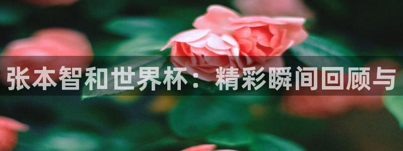 2006年世界杯:张本智和世界杯:精彩瞬间回顾与