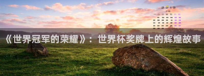 足球杯:《世界冠军的荣耀》:世界杯奖牌上的辉煌故事