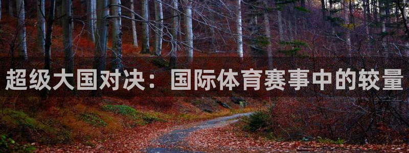 世界杯足球赛2026:超级大国对决:国际体育赛事中的较量