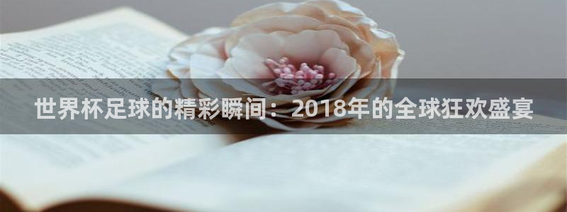 看世界杯:世界杯足球的精彩瞬间:2018年的全球狂欢盛宴